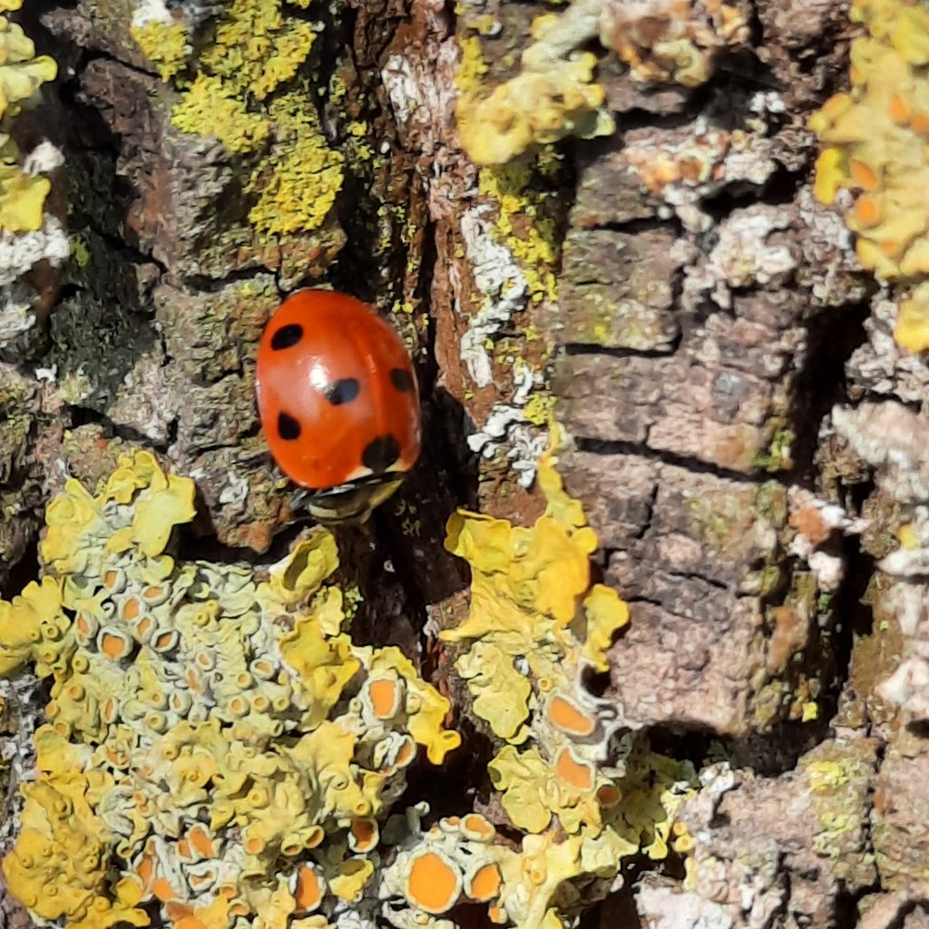 Das aktuelle Bild hat keinen Alternativtext. Der Dateiname ist: 20260303_110431-scaled.jpg