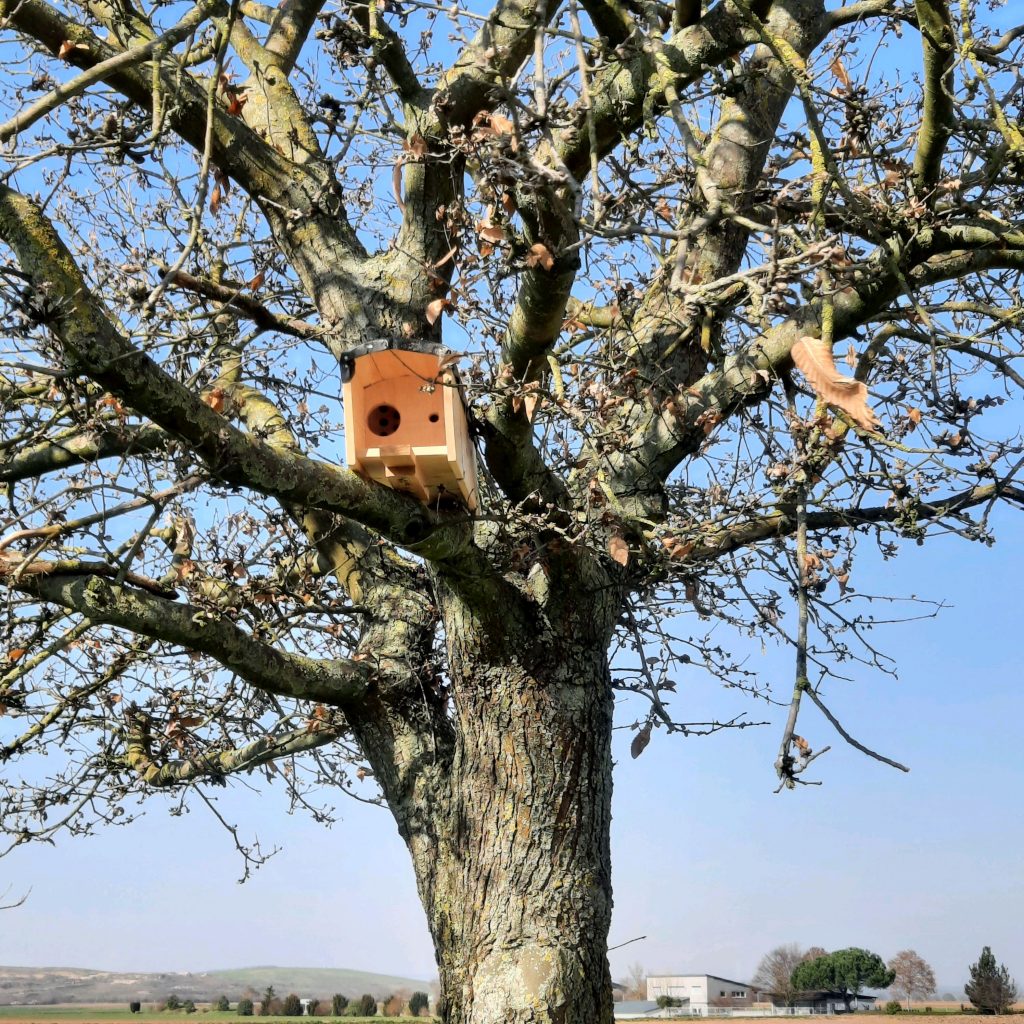 Das aktuelle Bild hat keinen Alternativtext. Der Dateiname ist: img_2026_03_03-11_58_24-scaled.jpg