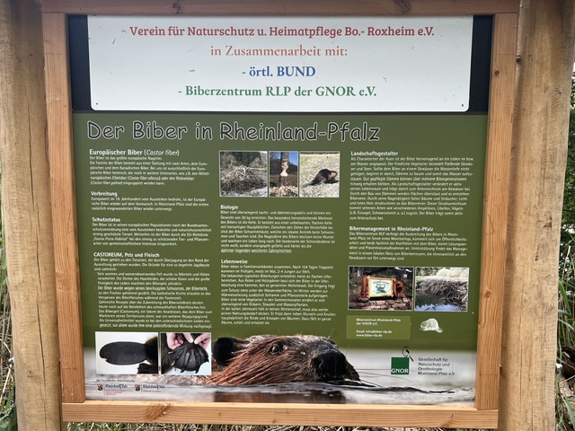 Die Schautafel