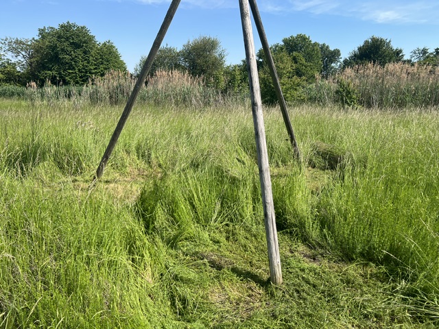 die Standbeine der Nisthilfe wurden auch freigelegt